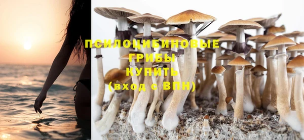 метадон Зеленокумск