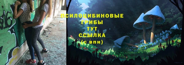 mdpv Елабуга