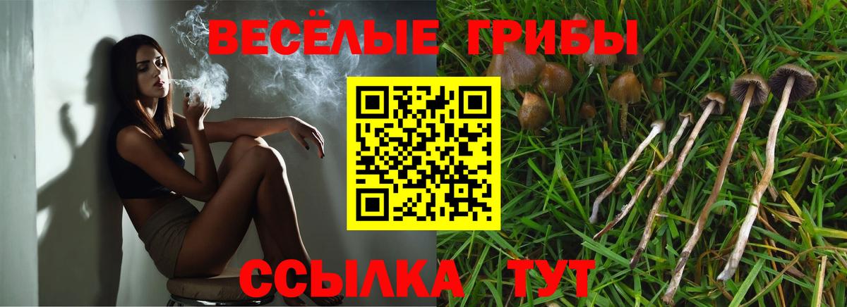 Псилоцибиновые грибы Magic Shrooms Таганрог